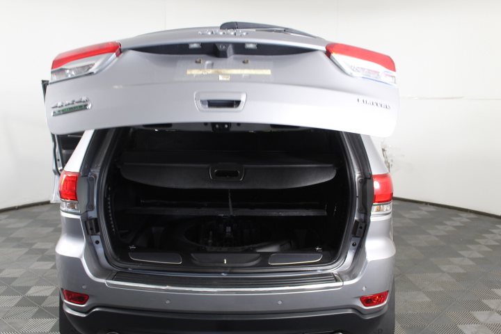 Designer Stainless Steel Feather Pendant Necklace