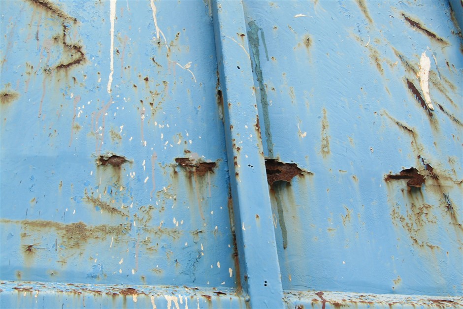 MIELE Complete C3 Cat & Dog Powerline Cylinder Vacuum Cleaner with Active A