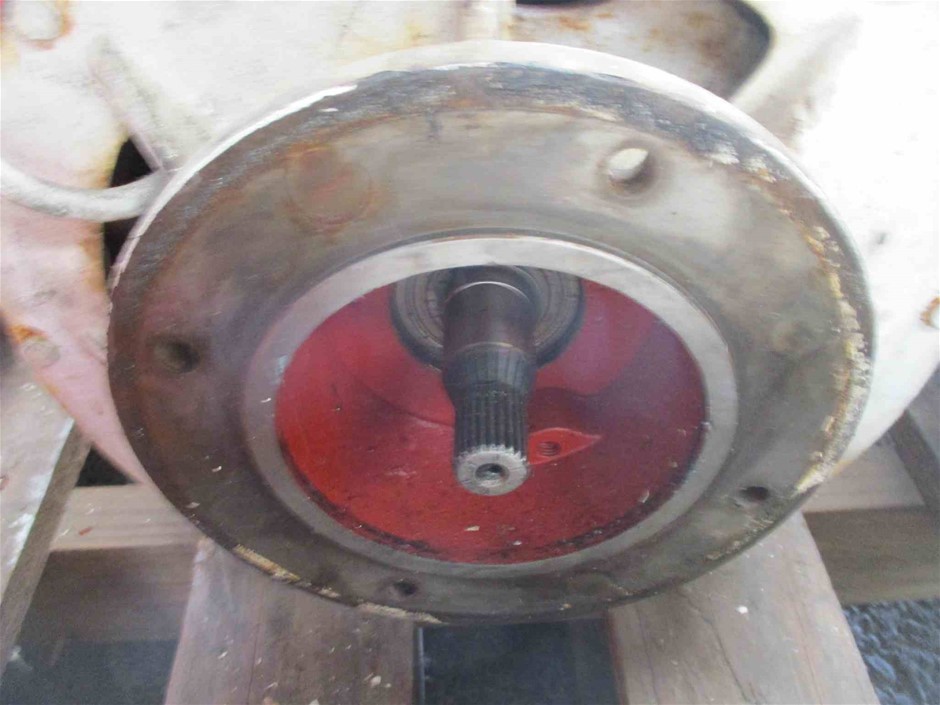 ADIDAS Women's Camo Tee, Size AU XL, 100% Cotton, Black, IW5173.  Buyers No