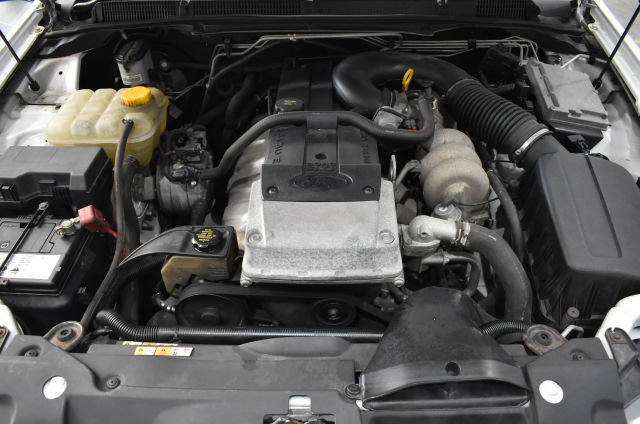 TRIMACO 11213 SuperTuff Regular Mesh/Elastic Top Bag Strainers, 2 Gallon, (