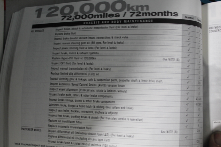 Large Central 13mm White Pearl, Afican Jasper 'Turquoise'  Bracelet.