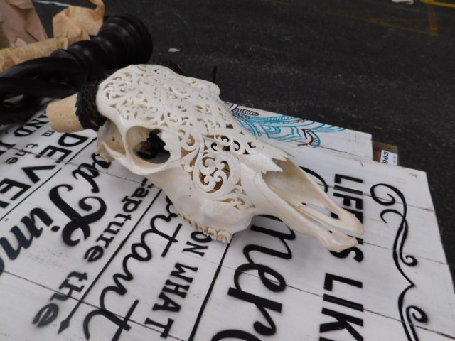 Casella1919 Cabernet Sauvignon 2008 (6x 750mL) SA