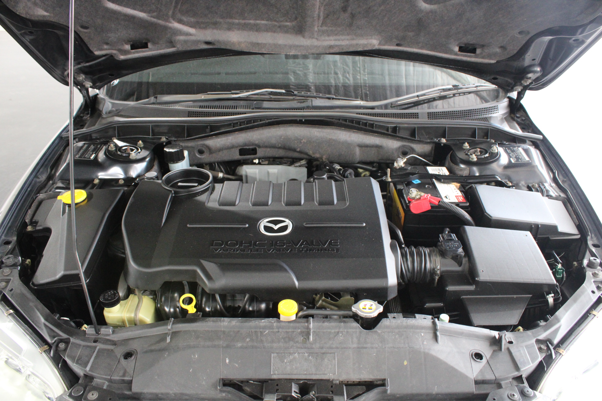 1984 Australia First Queen Elizabeth Proof One Dollar