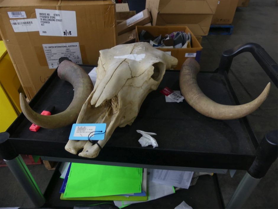 2024 Change Of Monarch Ram Mint Year Set Charles Queen 6 Coin Set