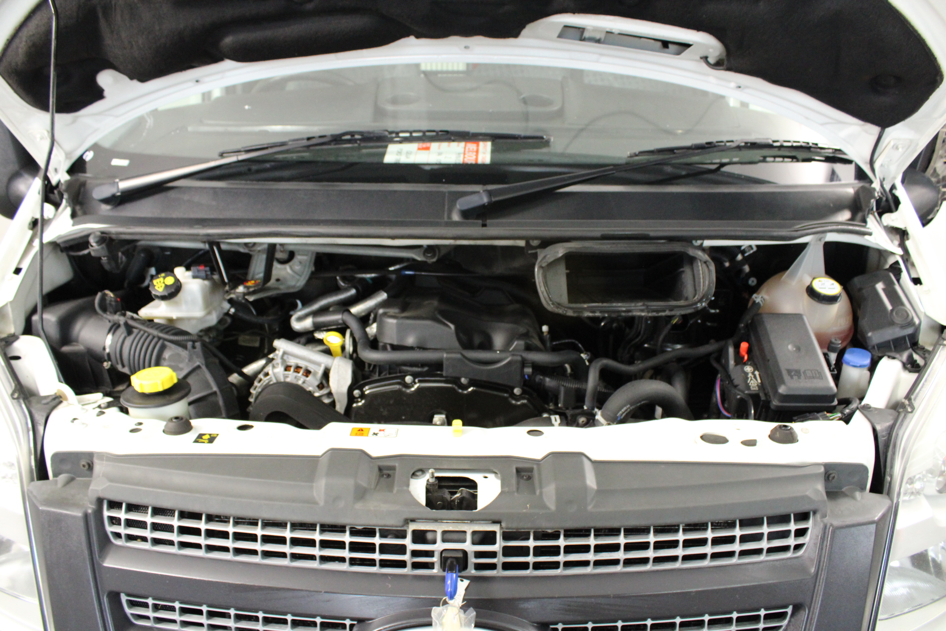 10mm Grade A Moonstone Gemstones Beaded Bracelet