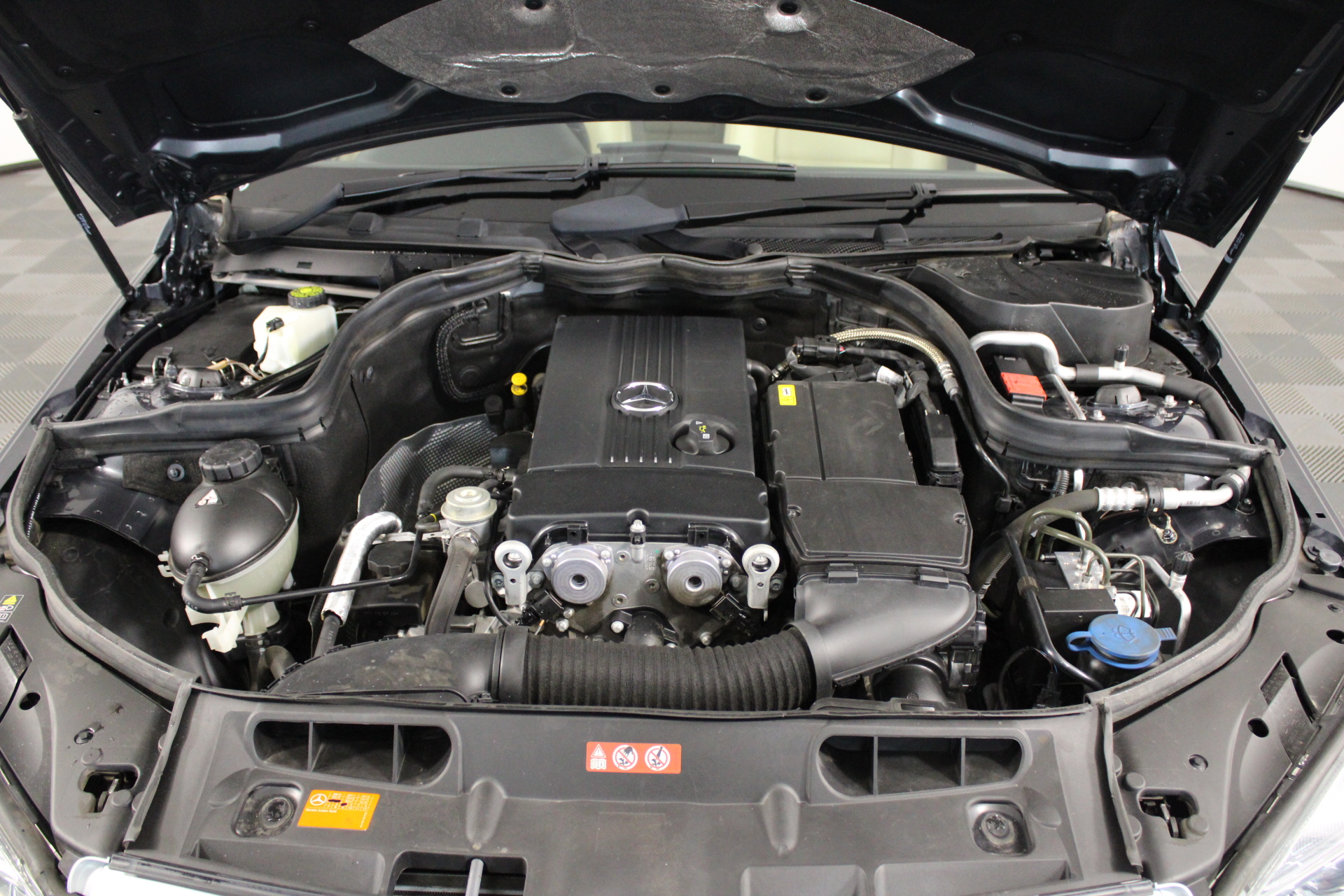 Oversized 100% Cotton, Yarn Dyed Beach Towel