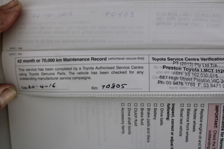 ZIPPYPAWS Loopy Hedgehog No Stuffing Squeaky Plush Dog Toy.