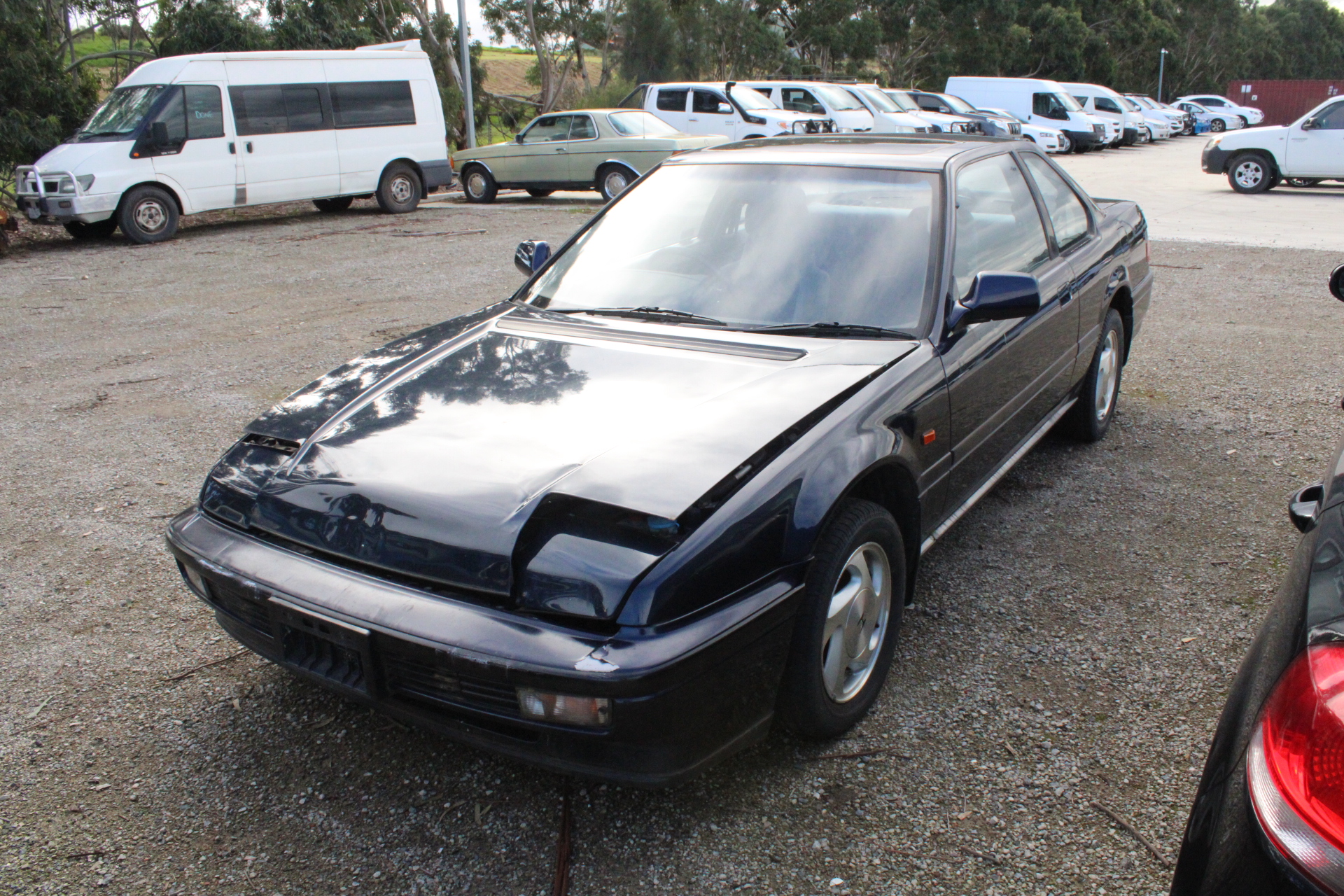 LEO&NICOLE Women's Gauze Shirt, Size L, 100% Cotton, Shell.  Buyers Note -