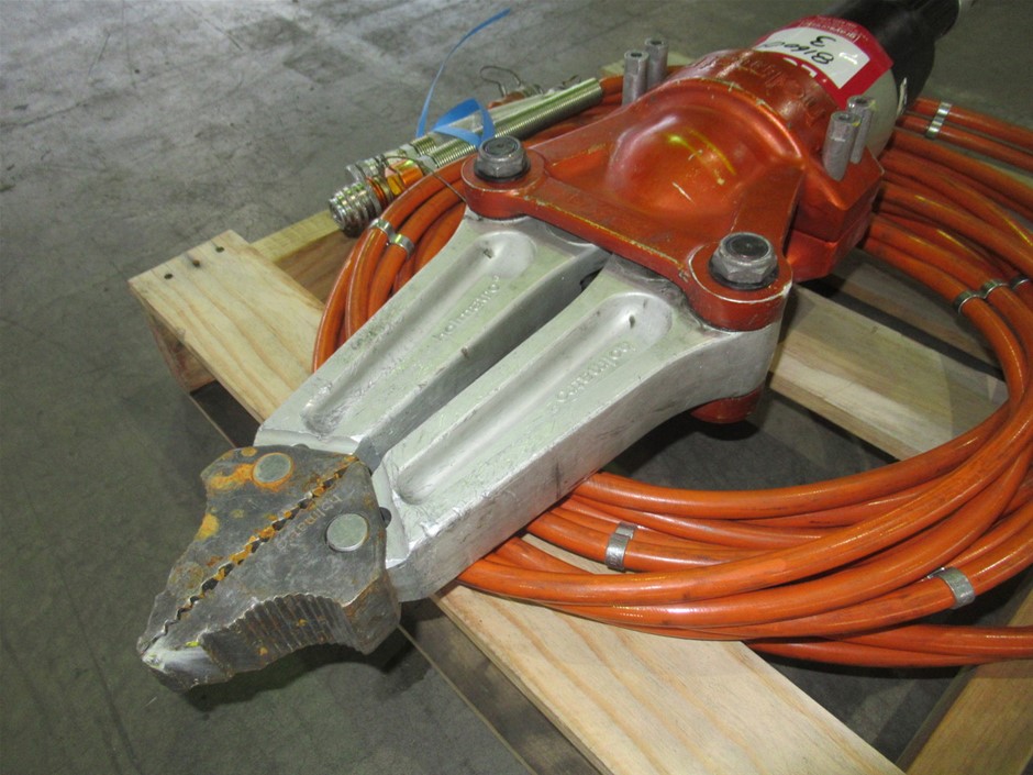 2 Monkeys Chardonnay 2025 (12x 750mL) SEA