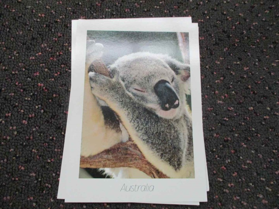 2016 Land Rover Range Rover Sport 3.0 TDV6 SE TDl Auto- 8 Speed Wagon