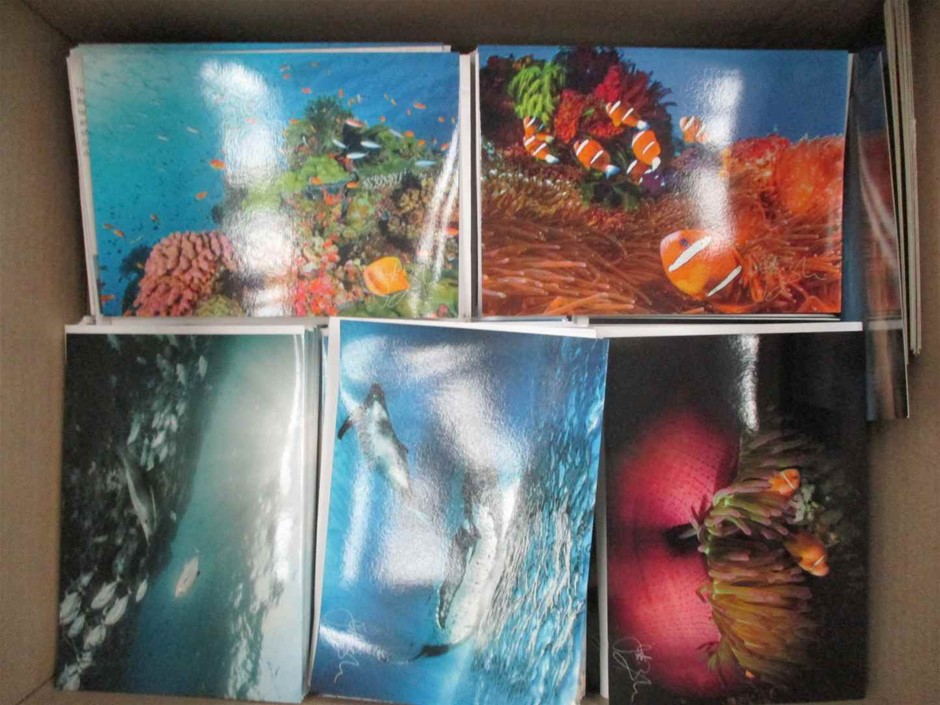 2020 Tesla Model 3 Standard Range Plus Direct Transmission Sedan