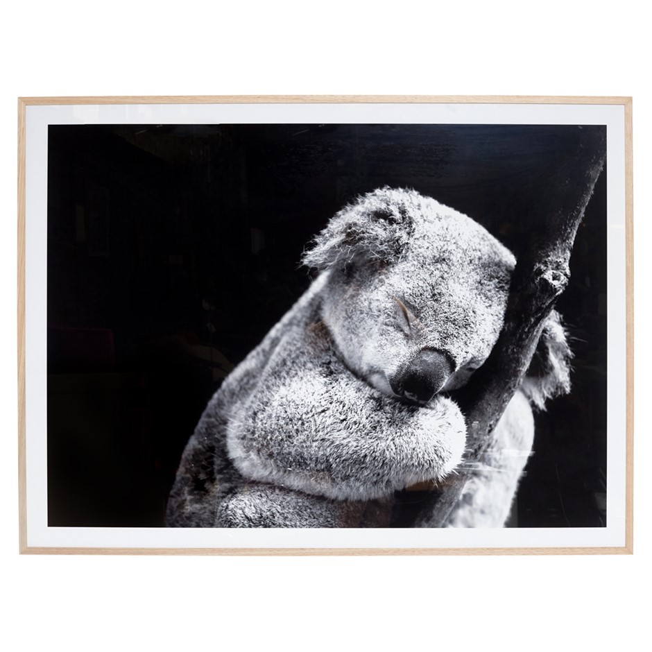 Echo Bay Cabernet Merlot 2024 (12x 750mL) SEA