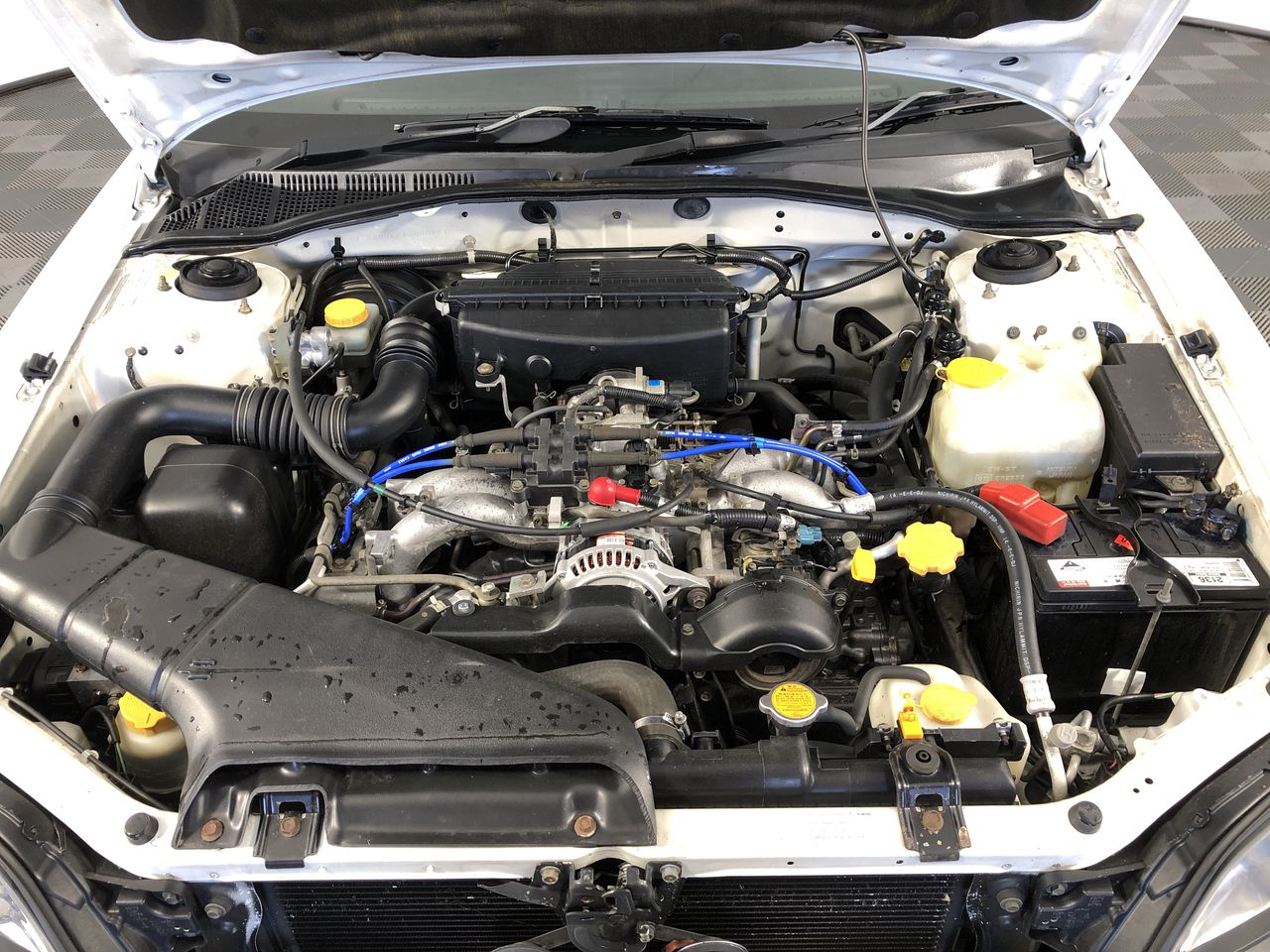 Stalking Horse Reserve Cabernet Sauvignon 2021 (12x 750mL) McLaren Vale