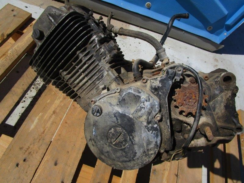 CHAMPION Men's Script Cuff Pant, Size XL, Cotton, Navy, A1882G.  Buyers Not