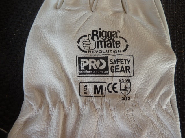 Little Giant Shiraz (6x 750mL).