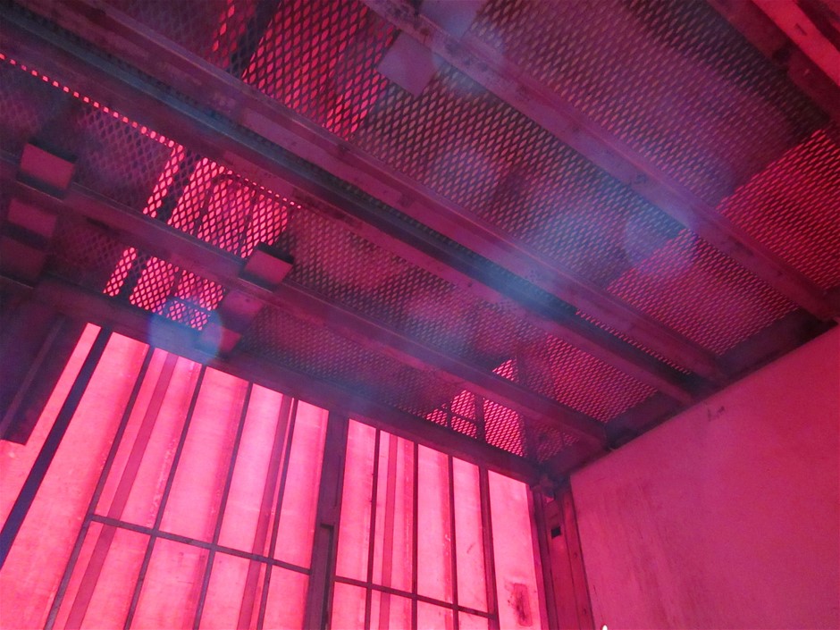 All In One Made With Water Reactive Fabric Showing Dolphin Print When Wet