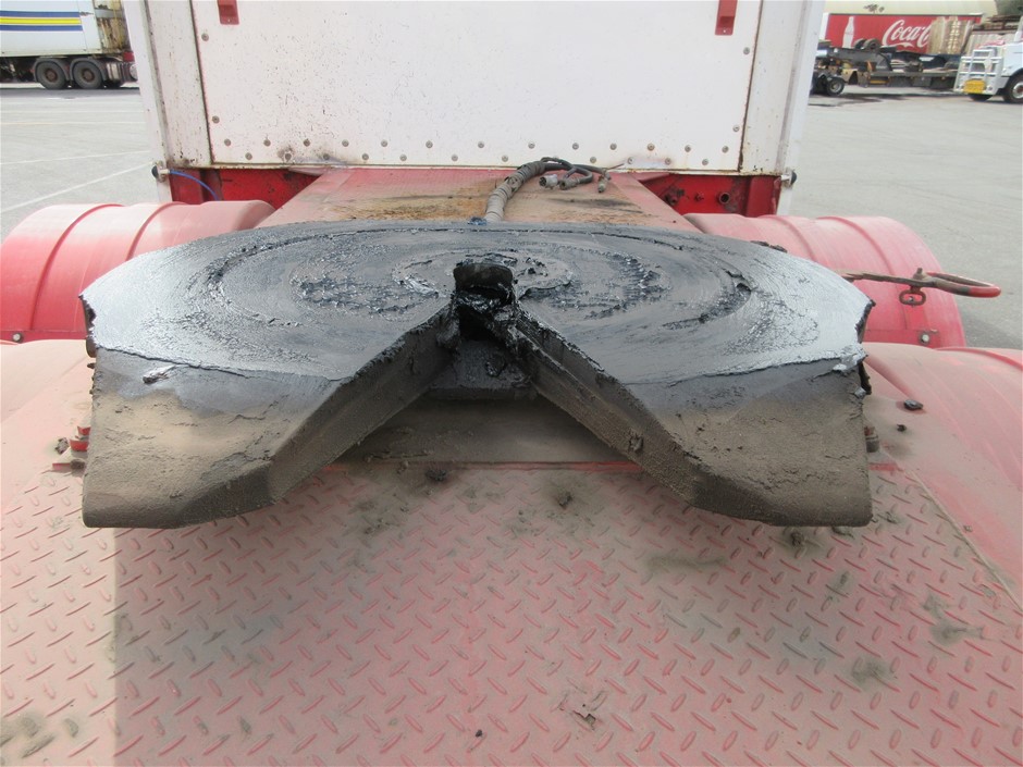 Rash Vest Made With Water Reactive Fabric Showing Dolphin Print When Wet