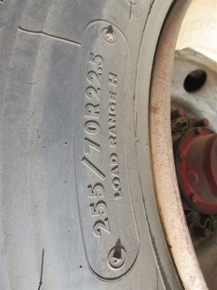 Spliced Vest Made With Water Reactive Fabric Showing Dolphin Print When Wet