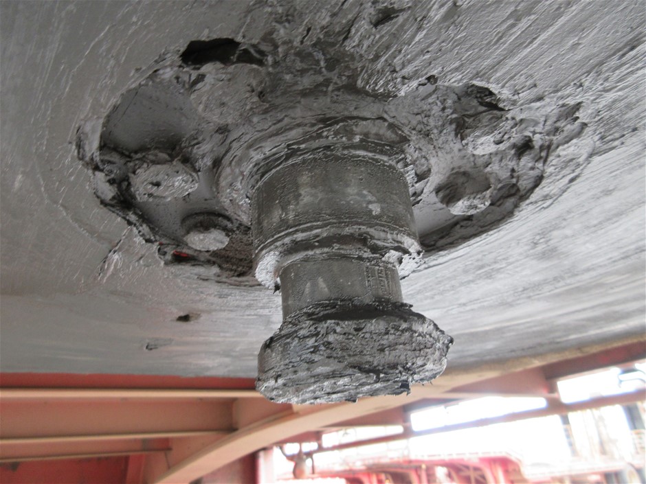 Rash Vest Made With Water Reactive Fabric Showing Dolphin Print When Wet