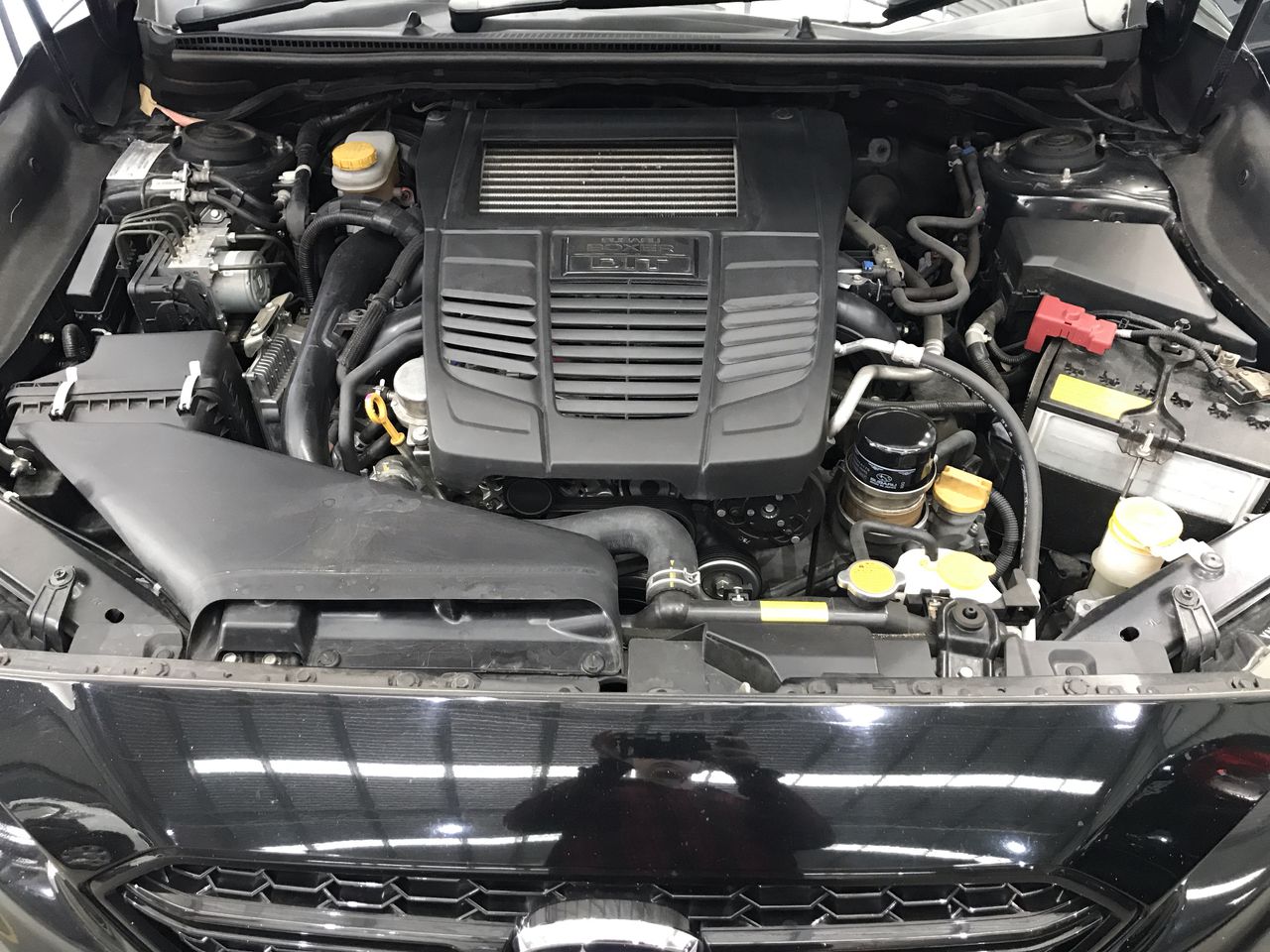 Fishbone Blue Merlot 2022 (6x 750mL) Margaret River