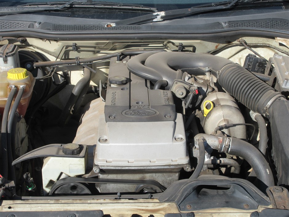 7-8mm & Blister Pearl with Gold Trimming Beaded Necklace