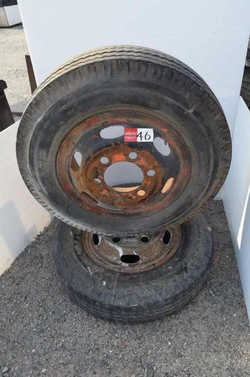 Baroque Pearls & Large Lobster Clasp Gold Plated Bracelet