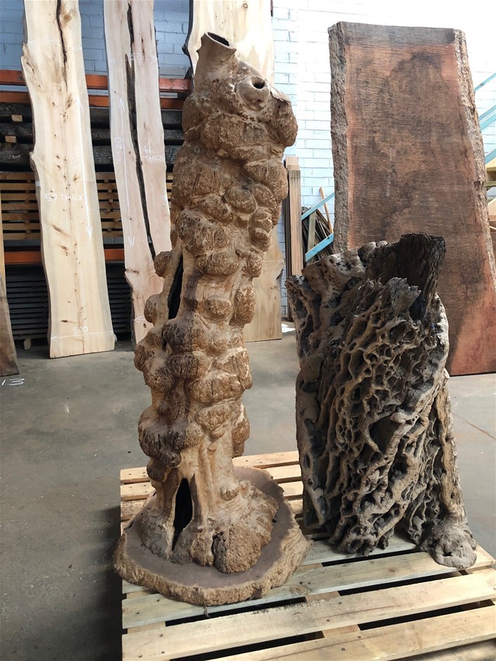 McWilliams Stolen Colt Shiraz 2021 (12x 750mL) NSW