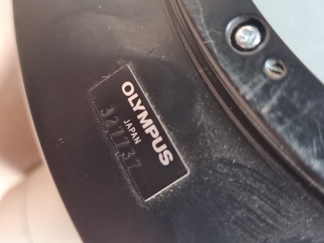 One Yellow Sapphire Gemstone