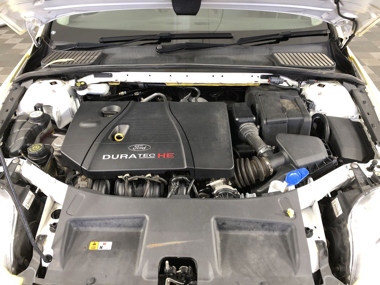 Little Giant Tempranillo (6x 750mL)