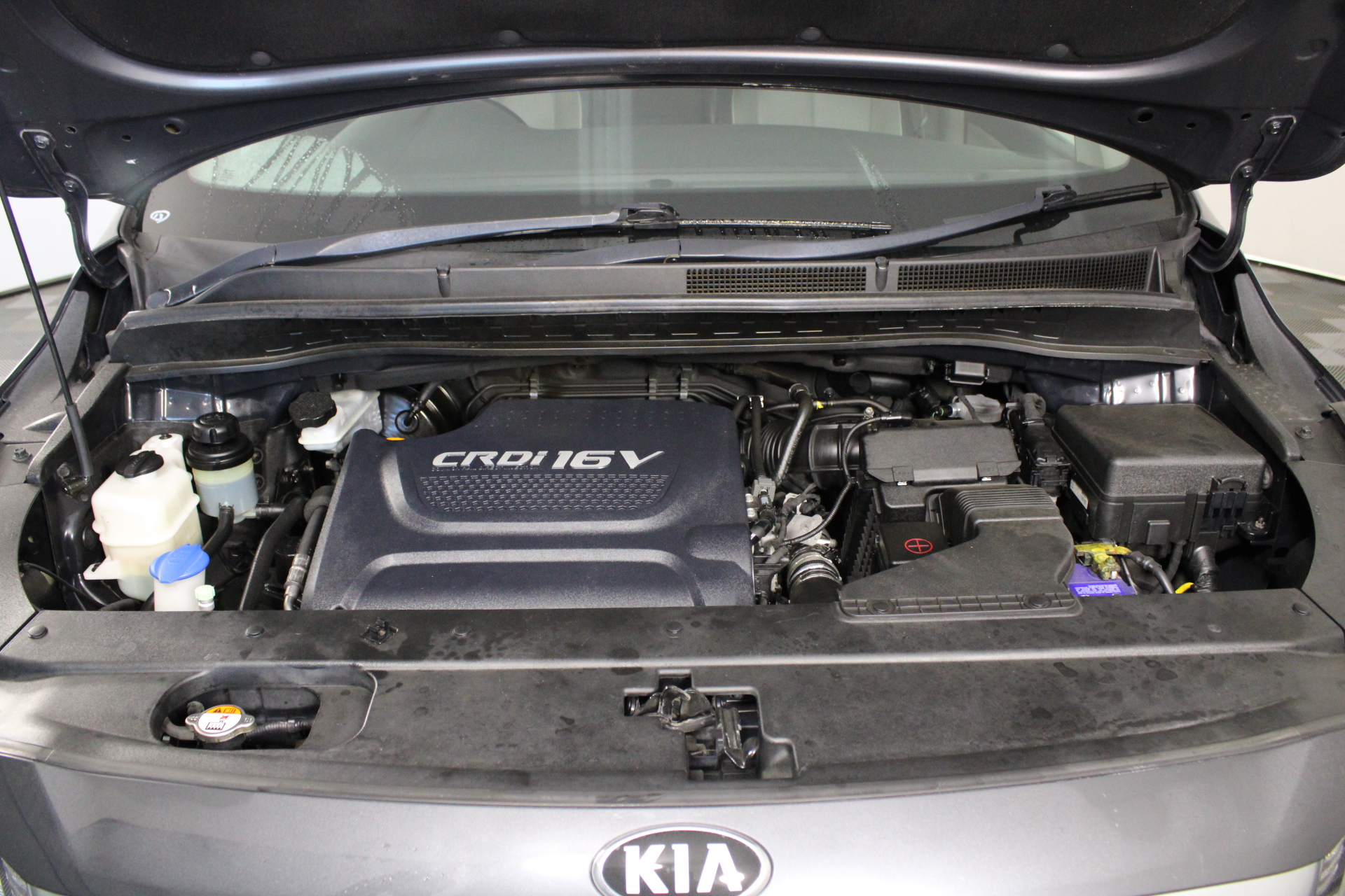 Peter Lehmann Cellar Archives Shiraz 2017 (12x 750mL), Barossa.