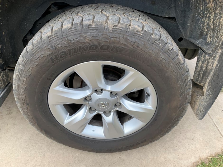 The Bowler Cleanskin Shiraz 2025 (12x 750mL) SA