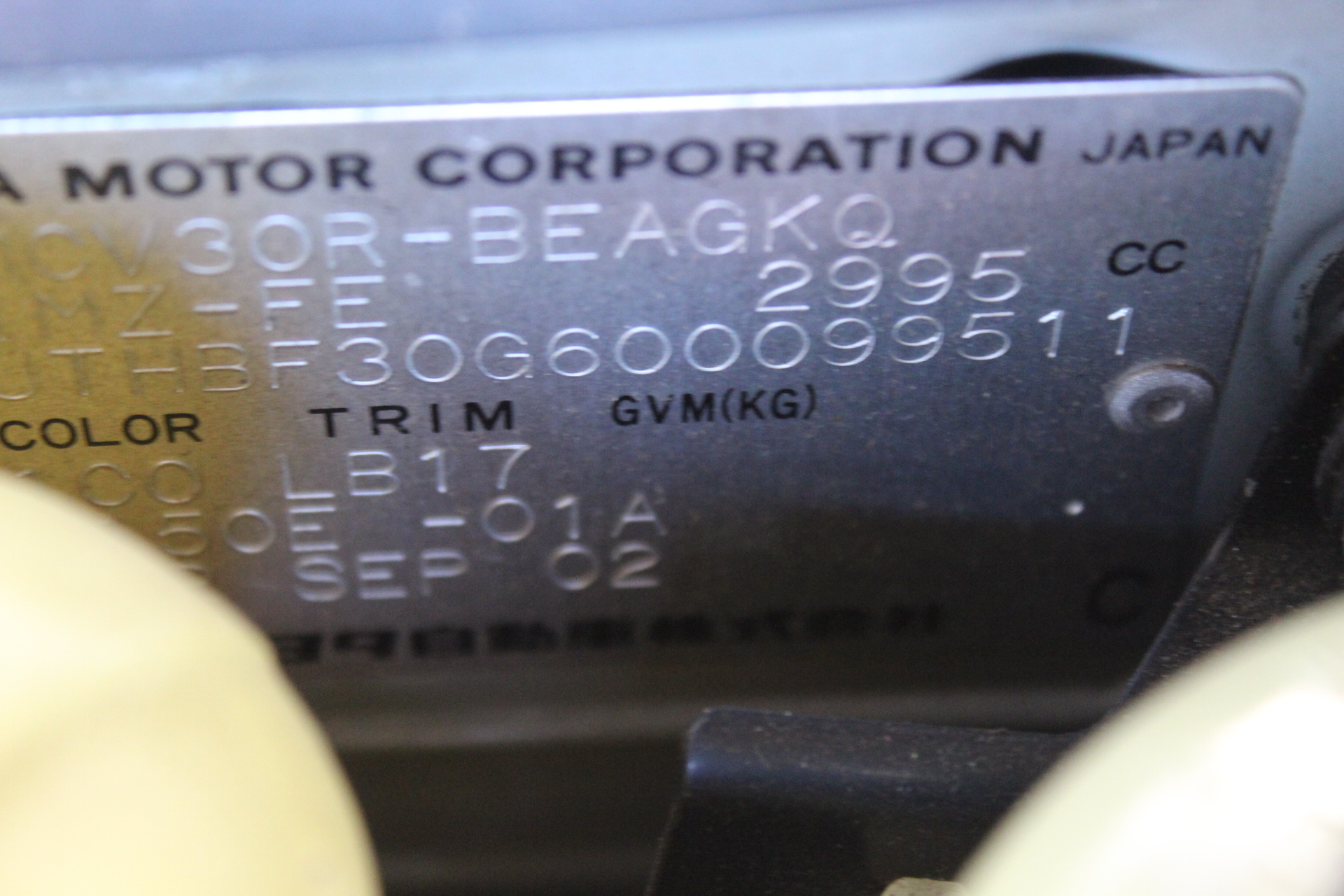 NEW!! LIMITED 2024 BLUEY DOLLARBUCK & BINGO $1 DOLLAR UNC Coin 2 CARD SET