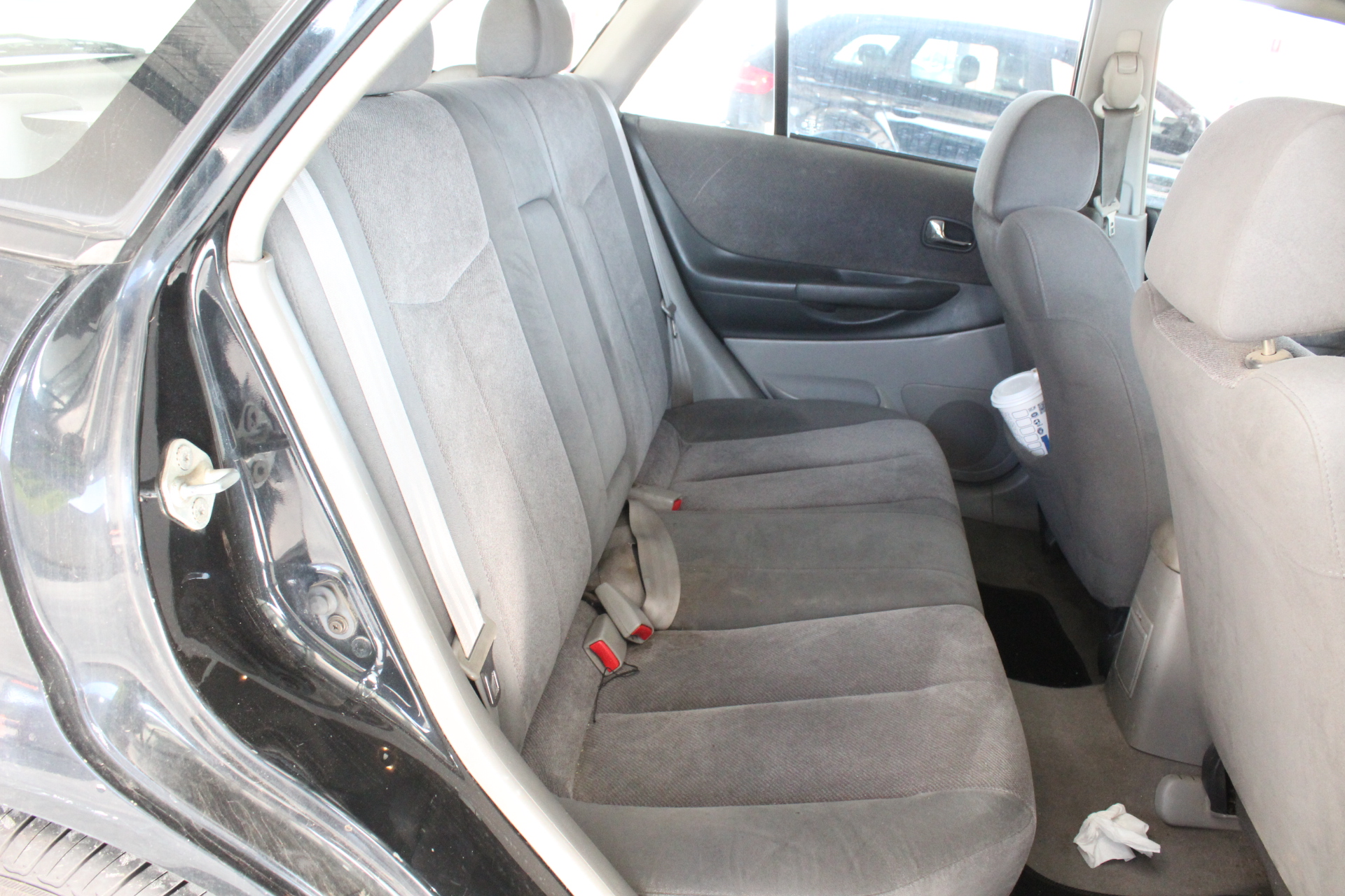 2 Monkeys Pinot Grigio 2025 (12x 750mL) SA