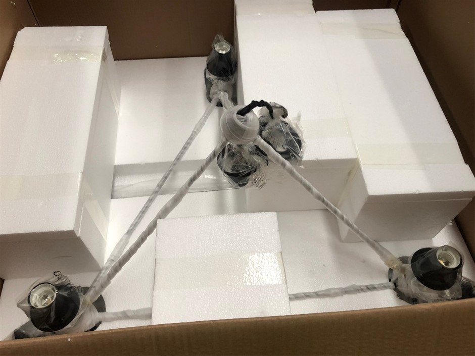 2025 Galvanised Dual Axle 12` x 6` Box with Cage - ATM 3,400kg (Unused)