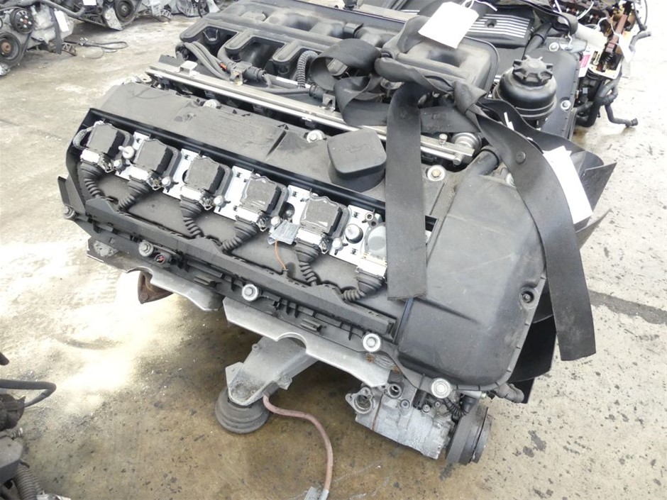 PETSAFE Pet Loo Medium Portable Toilet for Dogs and Pets, Compact, Hygienic