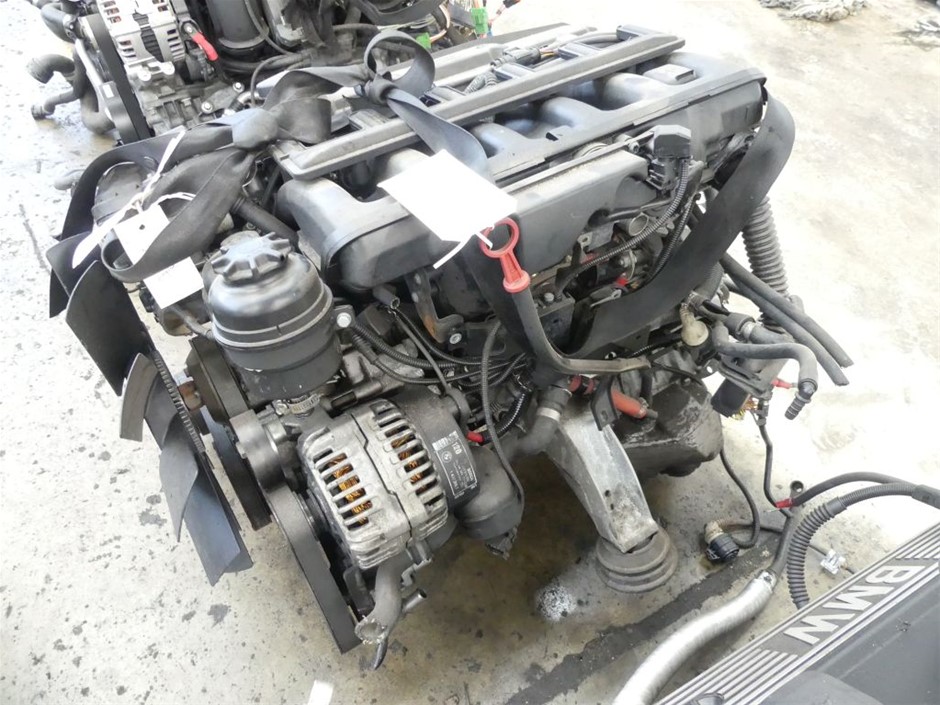 AMAZON BASICS Foldable Metal Wire Dog Crate with Tray, Double Door, 76cm Le