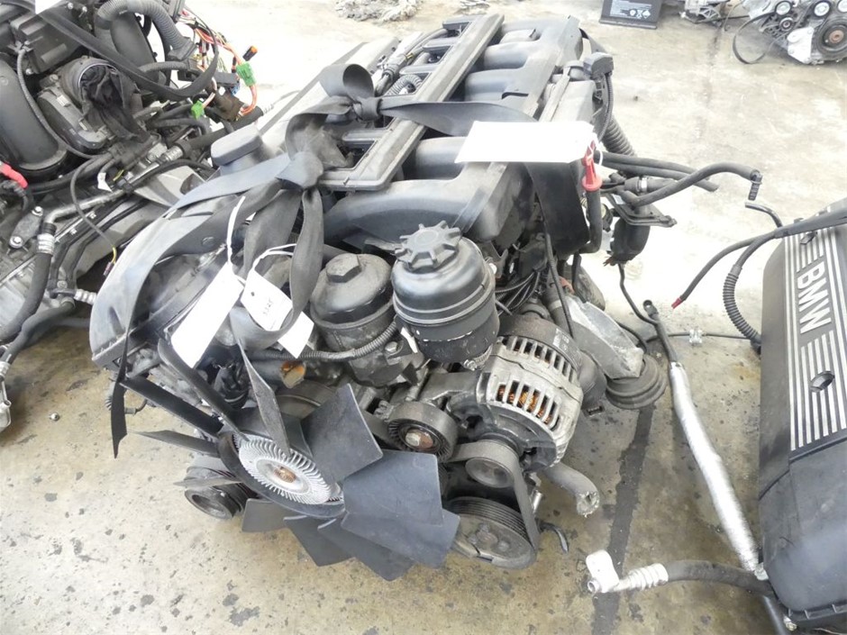 BLACKDOG Double Cheese & Bacon - 5kg. Best Before: 05/08/2027.