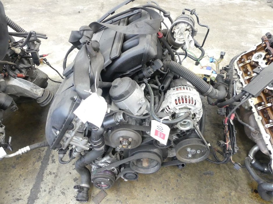 TOUGH 1 Australian Outrider Collection Leather Bridle/Halter.