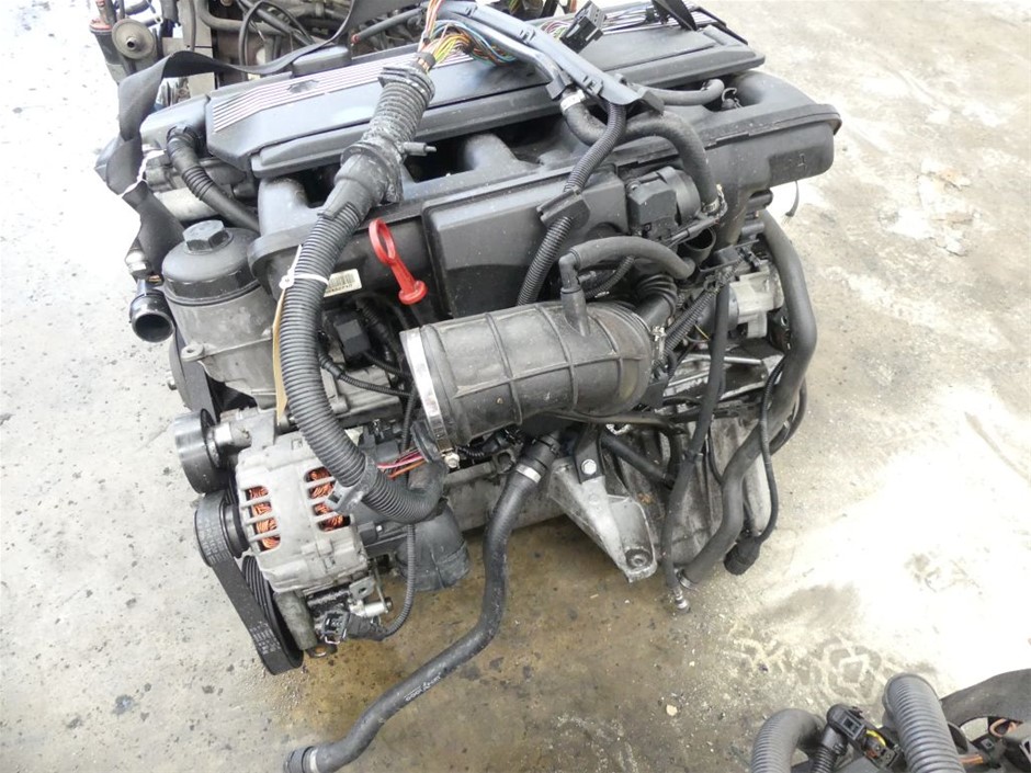 Pack of 100pc AMAZON BASICS Dog and Puppy Pee Pads with Leak-Proof Quick-Dr