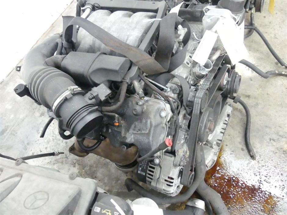 6-7mm White Pearl & Rhinestone Real Platinum Plated Bracelet