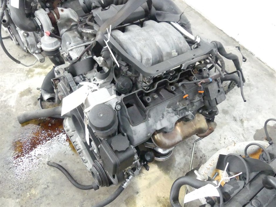 6-7mm White Pearl & Rhinestone Real 18k Gold Plated Bracelet