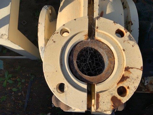 RIP CURL Boy's Shred Til T-Shirt - Pastel Green, Size 8. RRP: $35.99.  Buye