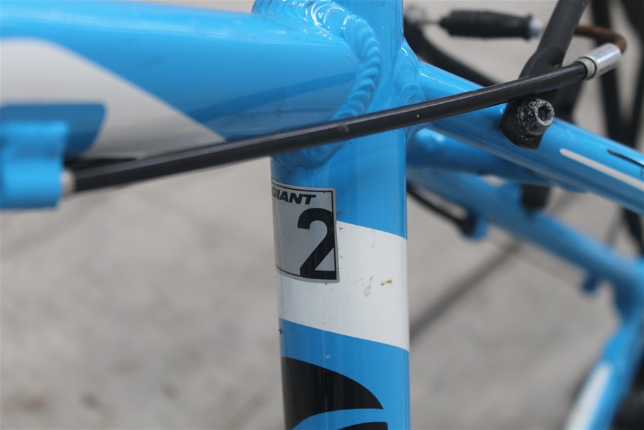 Analytical Balance "Mettler Toledo"