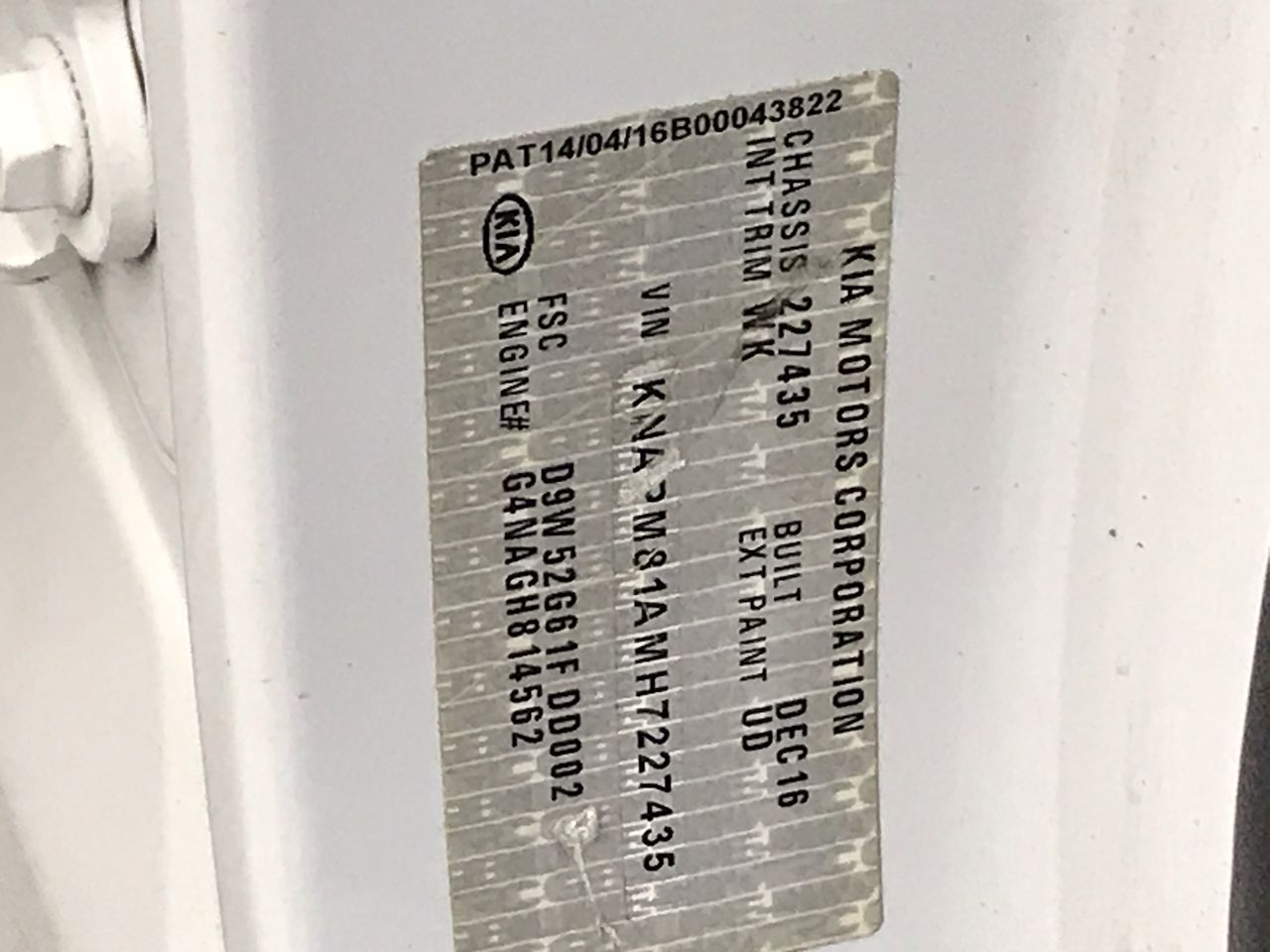 Waterproof  Watch Barrel Shaped Transparent Quartz Watch Popular