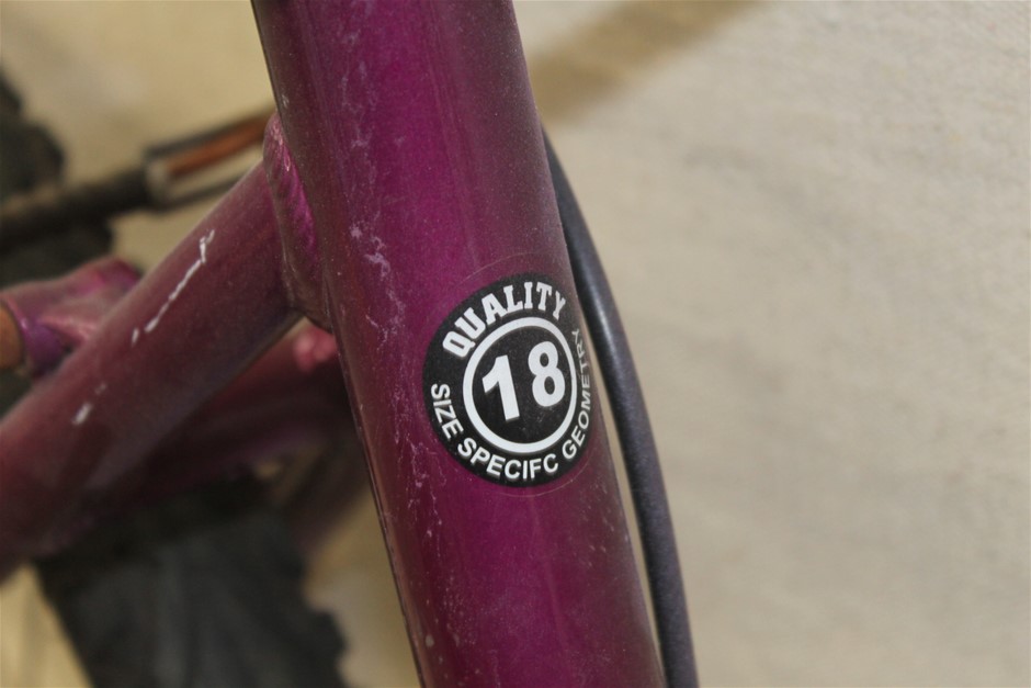 Roberts Estate Merlot 2024 (12x 750mL) SEA