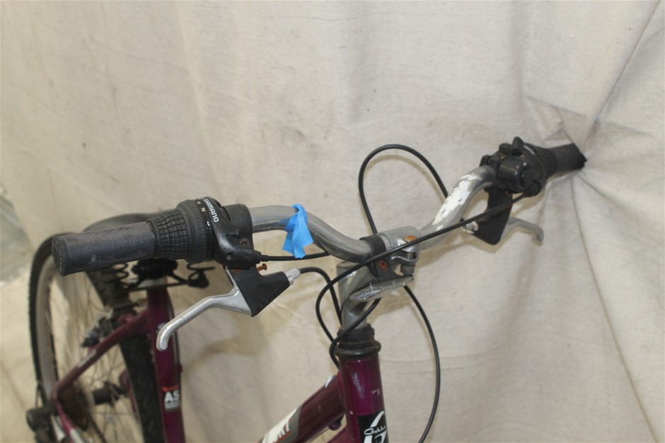 Salisbury Chardonnay 2023 (12x 750mL) SEA