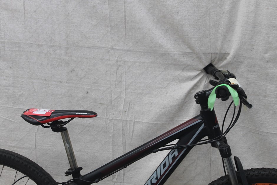 Firing Eagle Coonawarra Shiraz 2022 (12x 750mL) SA