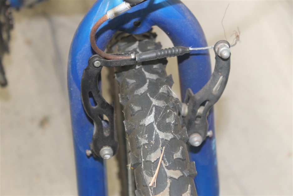 Dee Vine Estate Range Pinot Grigio 2025 (12x 750mL) NSW