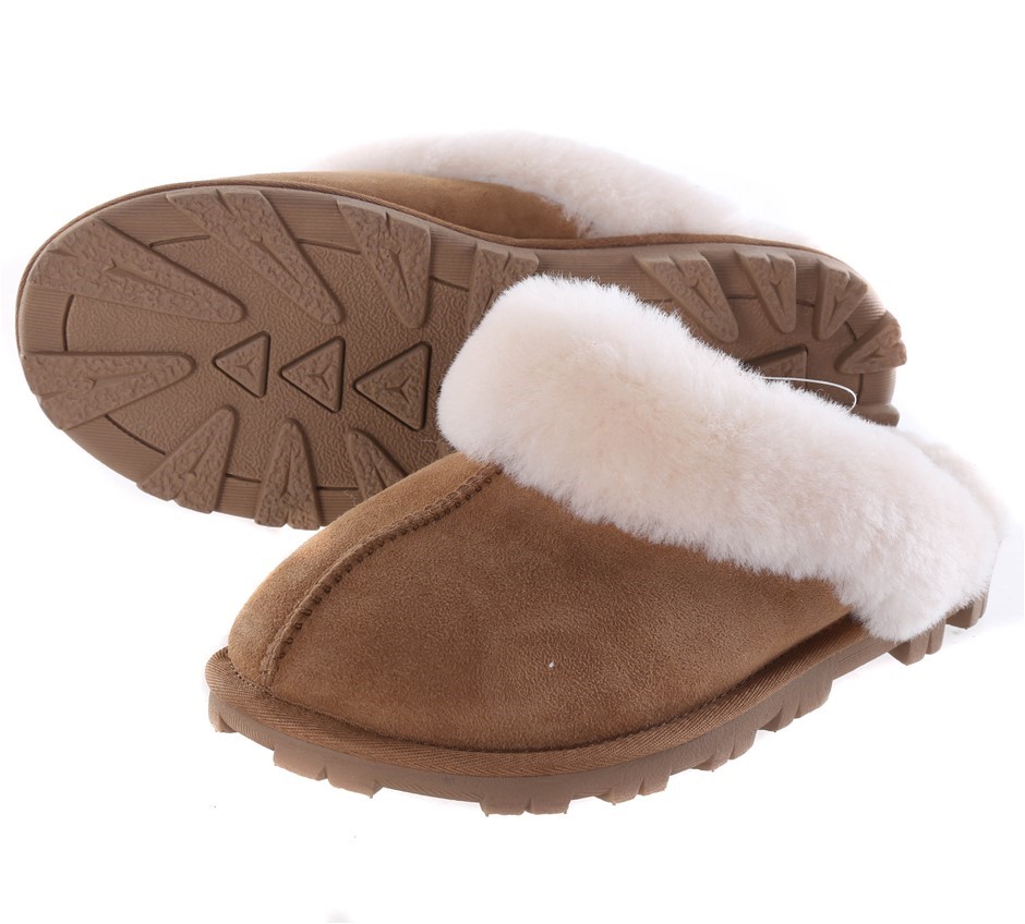 2025 Australia $1 Bluey Christmas Coloured Unc Coin