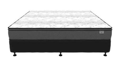 Artan Reserve Cleanskin Shiraz 2021 (12x750mL) SA